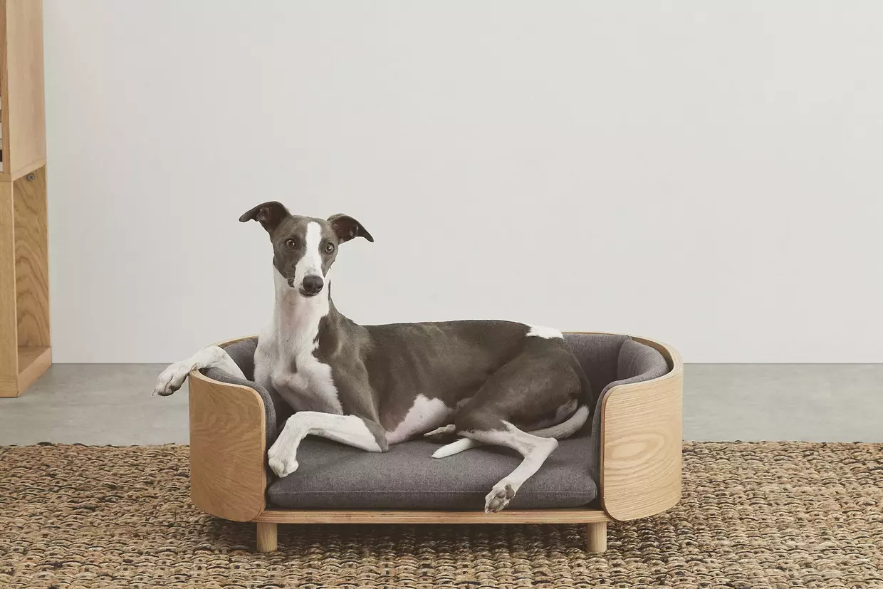 Pets Bed